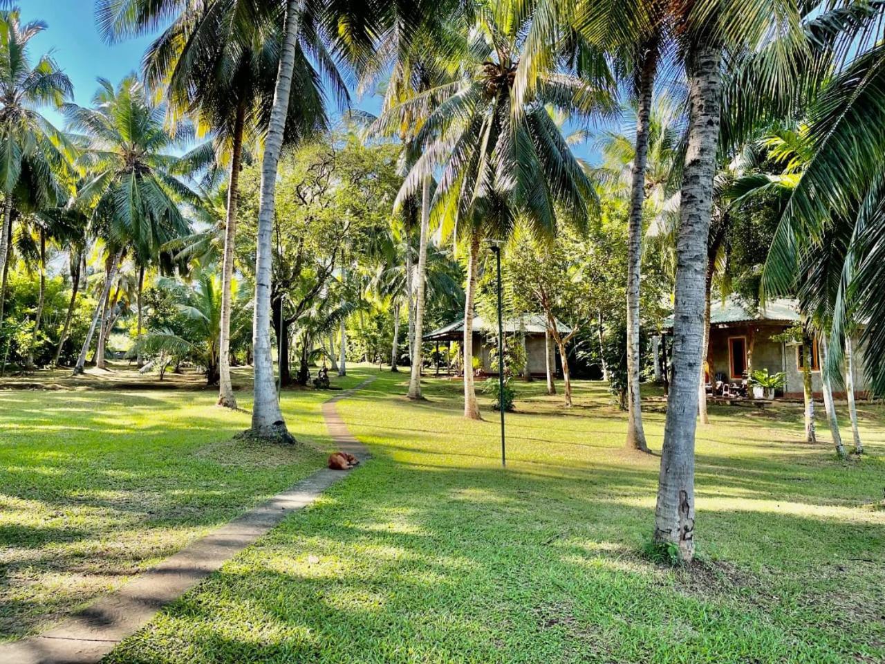 Udawalawa Safari Resort Udawalawe Eksteriør billede