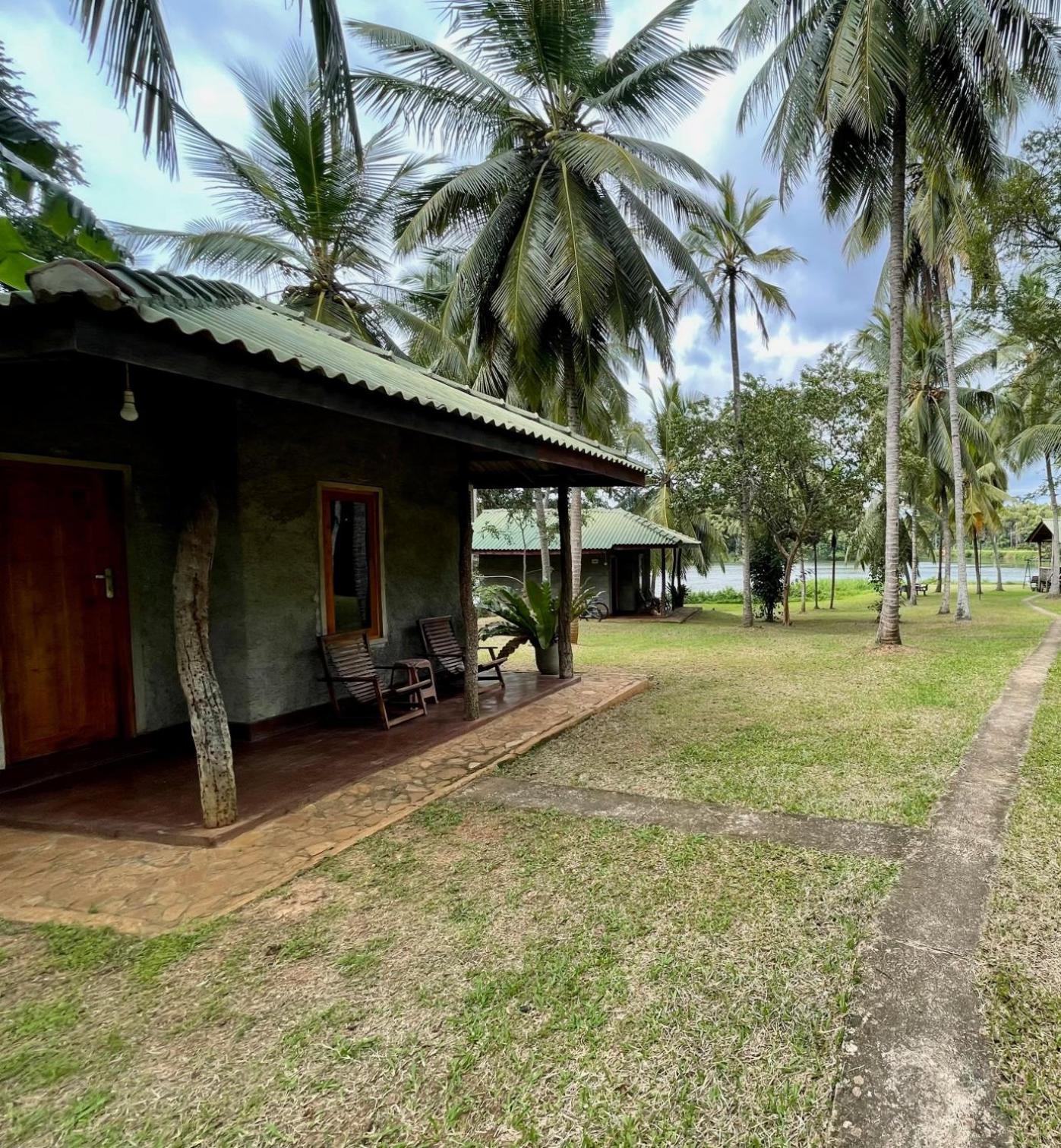 Udawalawa Safari Resort Udawalawe Værelse billede