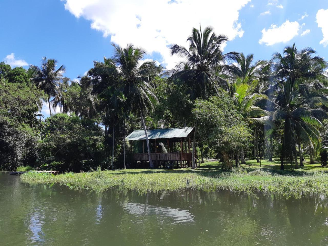 Udawalawa Safari Resort Udawalawe Eksteriør billede